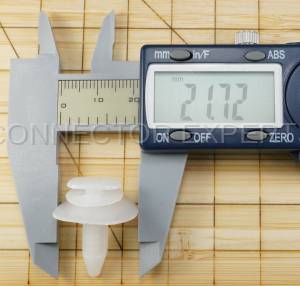 Special Order  - C-RETAINER-63 - Image 7
