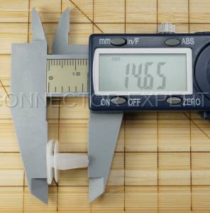 Special Order  - C-RETAINER-67 - Image 6