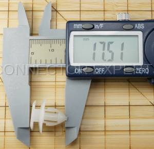 Special Order  - C-RETAINER-70 - Image 6