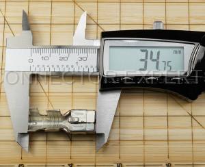 Normal Order - M-TERM2185A - Image 7
