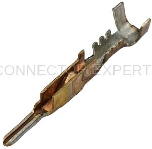 C-TERM29A
