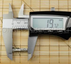 Normal Order - A-TERM4B - Image 7