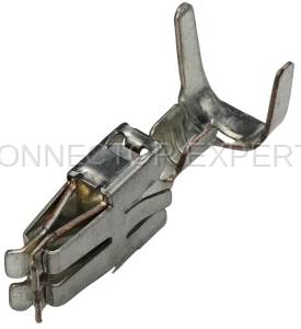 Normal Order - E-TERM253C - Image 1