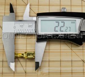 Normal Order - E-TERM338A - Image 5
