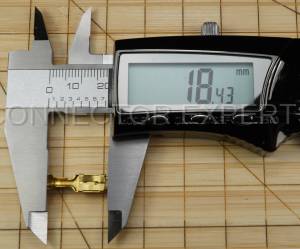 Normal Order - E-TERM427 - Image 7