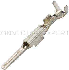 Normal Order - E-TERM181 - Image 1