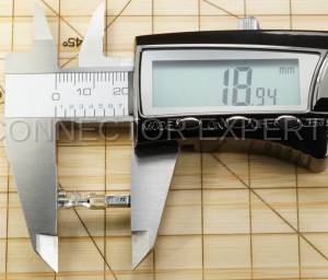 Normal Order - E-TERM486 - Image 5