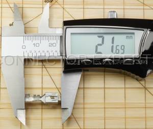 Normal Order - M-TERM2113C - Image 6