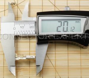 Normal Order - A-TERM8M - Image 5