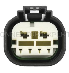 Normal Order - CE6423 - Image 4