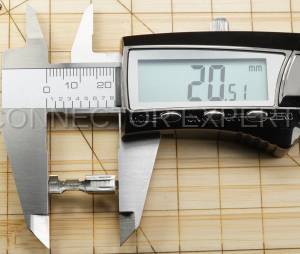 Normal Order - C-TERM16F1 - Image 5