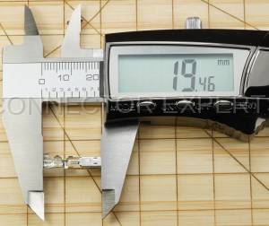 Normal Order - E-TERM474 - Image 5