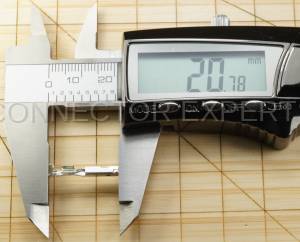 Normal Order - M-TERM2107F - Image 5