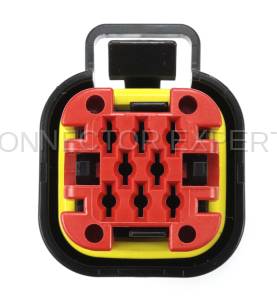Special Order  - CE8336 - Image 5