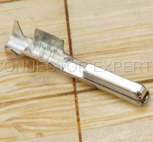 Normal Order - E-TERM239A - Image 2