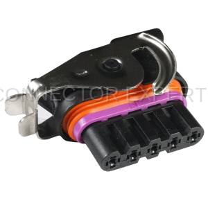 Normal Order - CE5182 - Image 2
