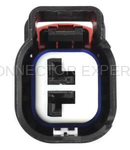 Normal Order - Horn - Image 4