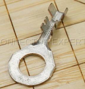 Normal Order - M-TERM2263 - Image 2